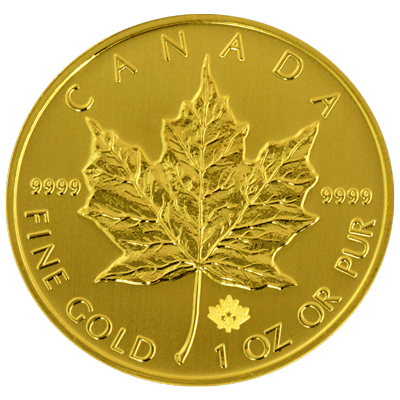 Canadian-Gold-Maple-Back-view-South-Bay-Gold