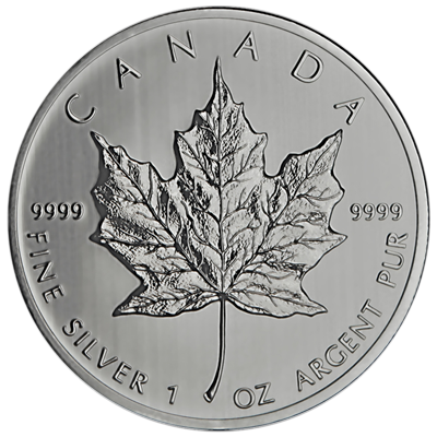 Canadian-Silver-Maple-Leaf-Back-view-South-Bay-Gold