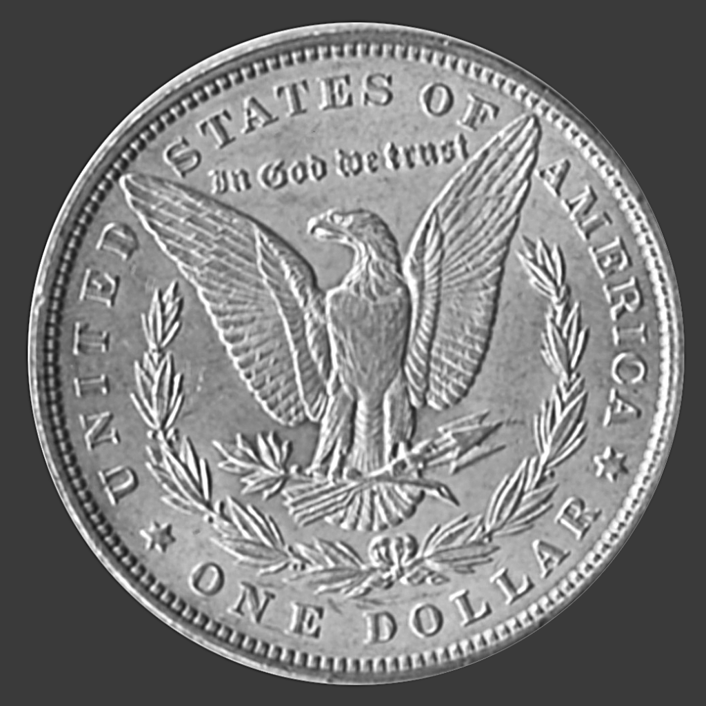 1896 Morgan Dollar Back-View South Bay Gold